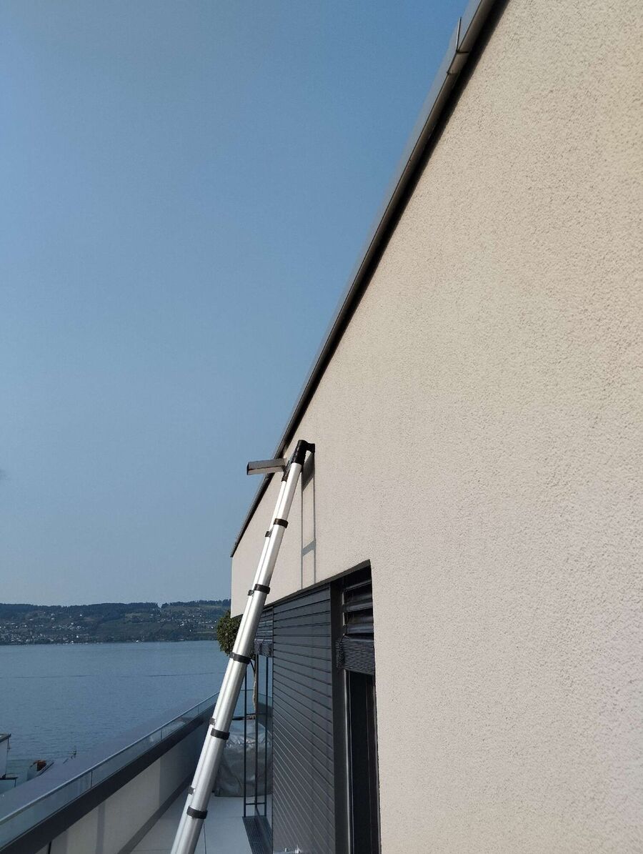 Bee nest at the house remove