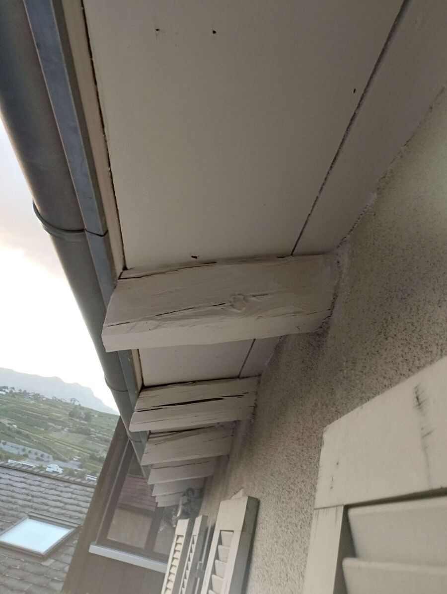 Bee nest at the house remove