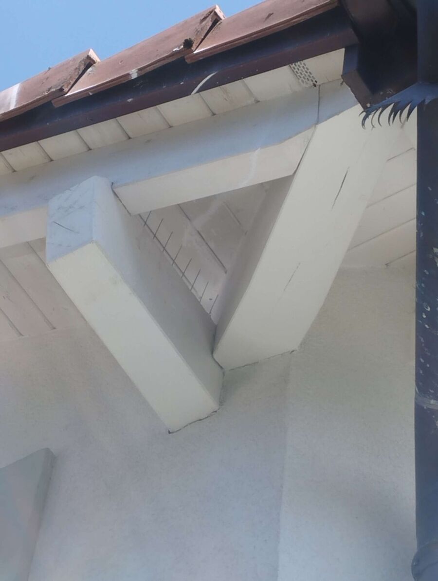 Bee nest at the house remove