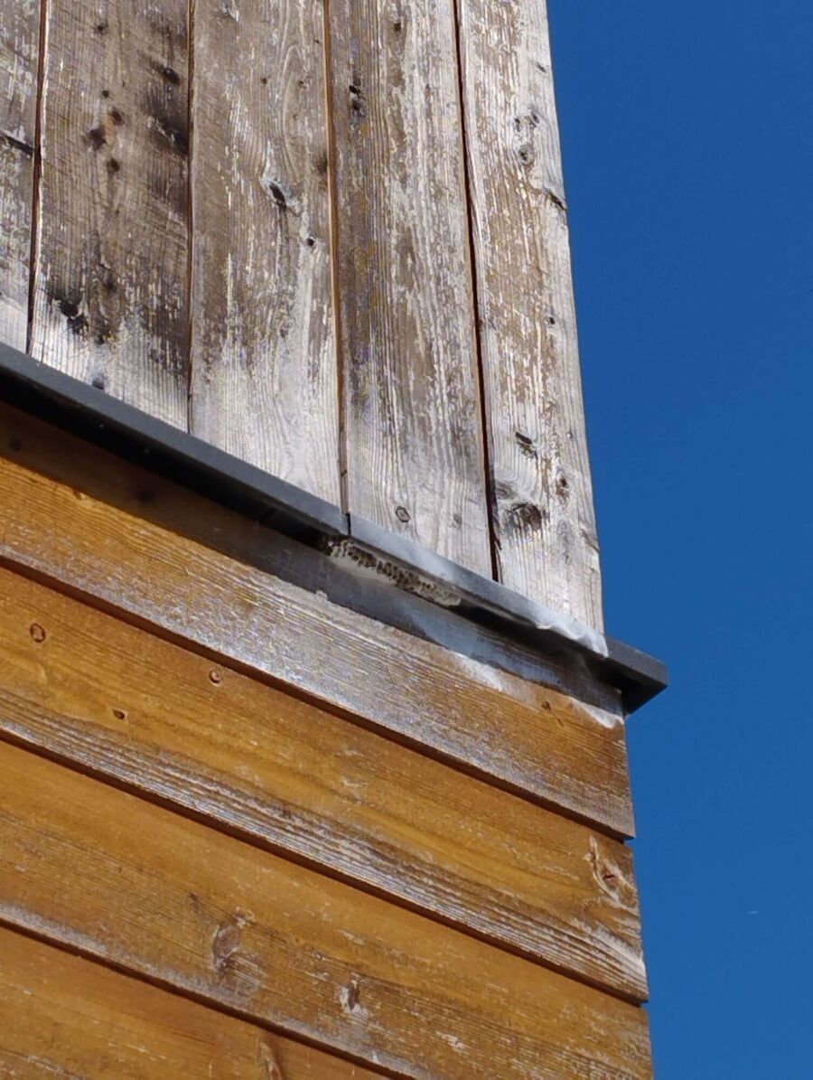 Bee nest at the house remove