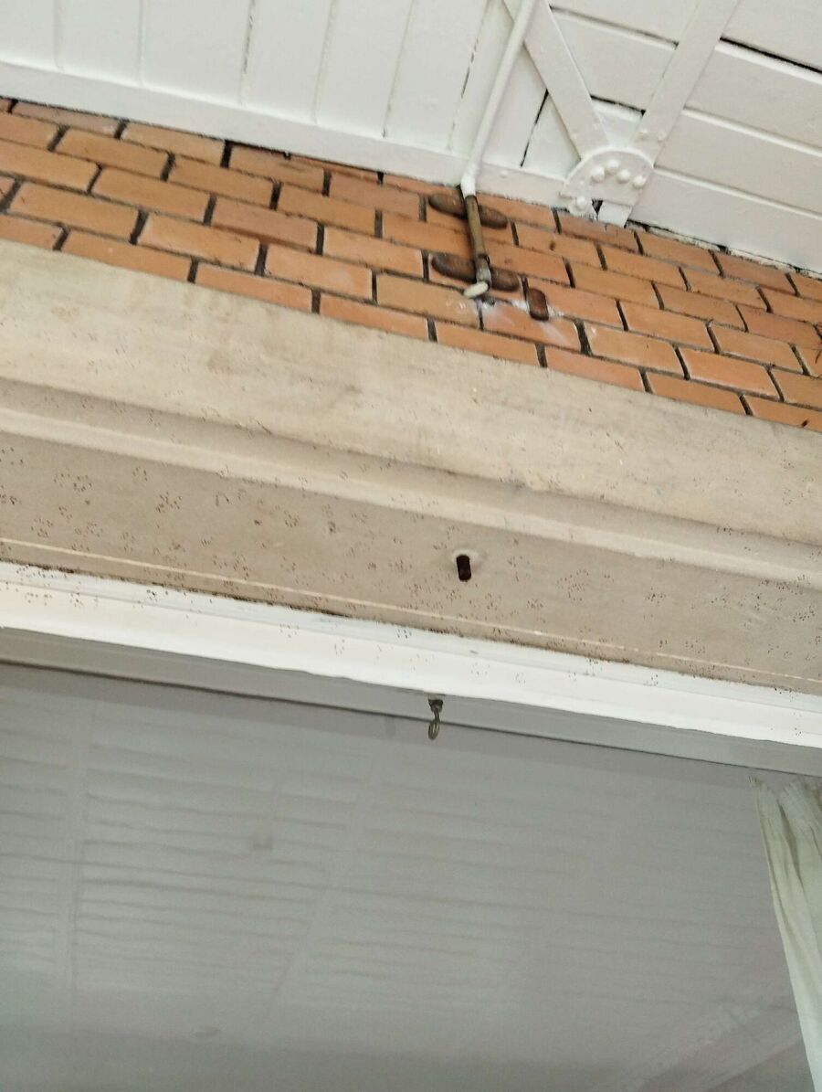 Bee nest at the house remove