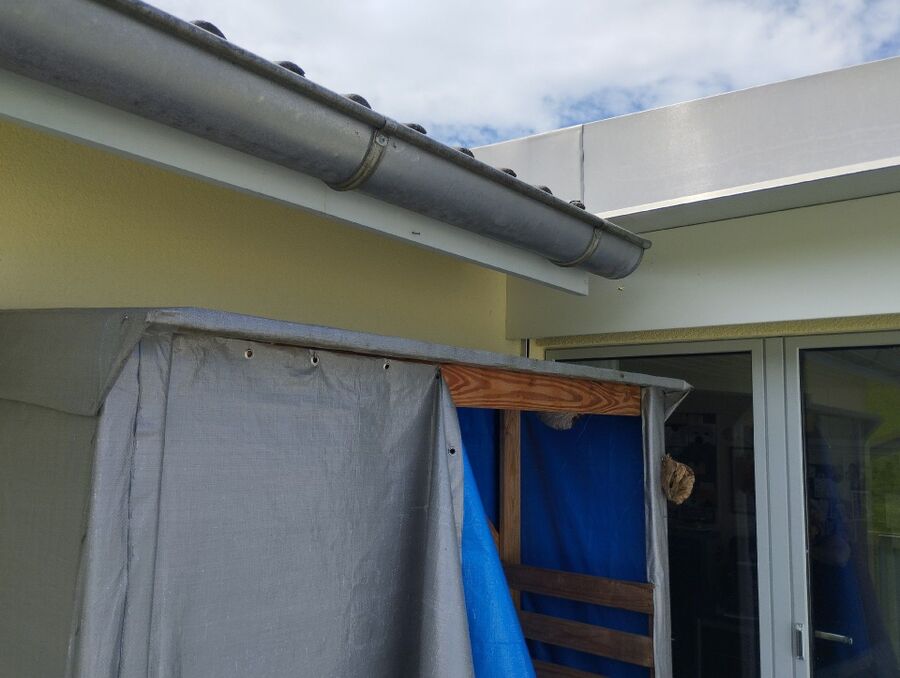 Bee nest at the house remove