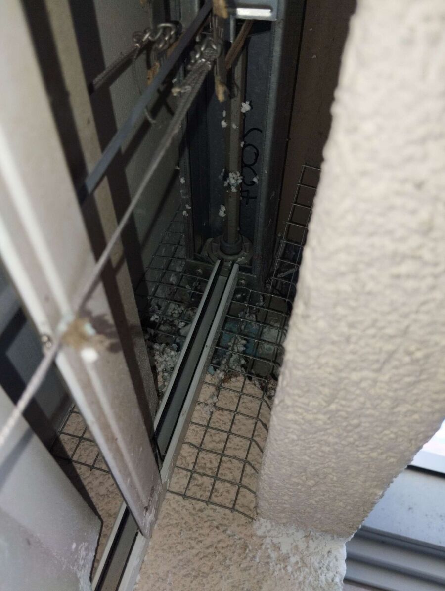 Relocate bees & remove bee nest