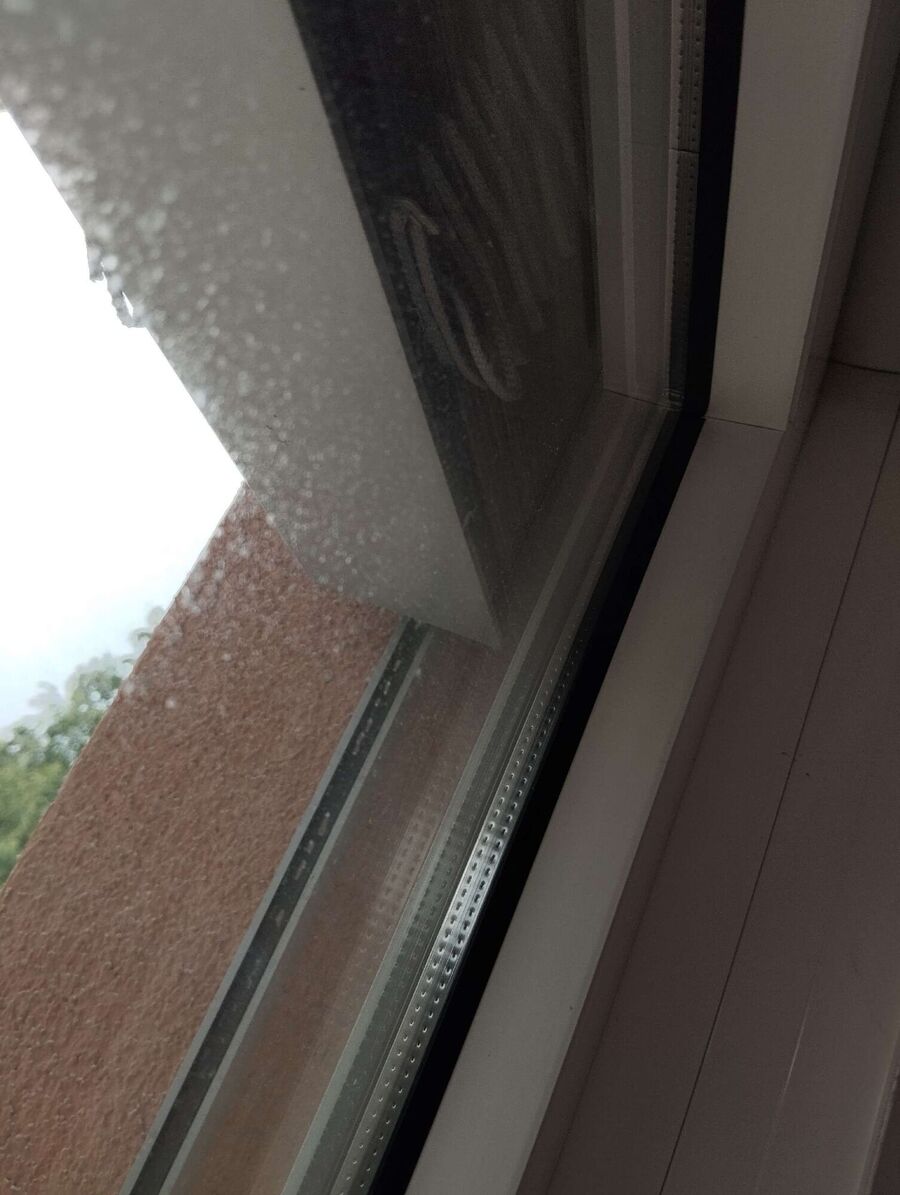 Bee nest at the house remove