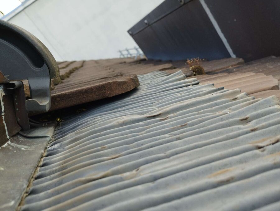 Bee nest at the house remove