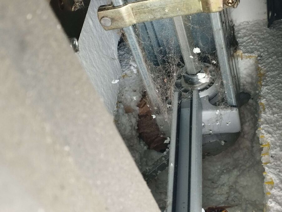 Bee nest at the house remove