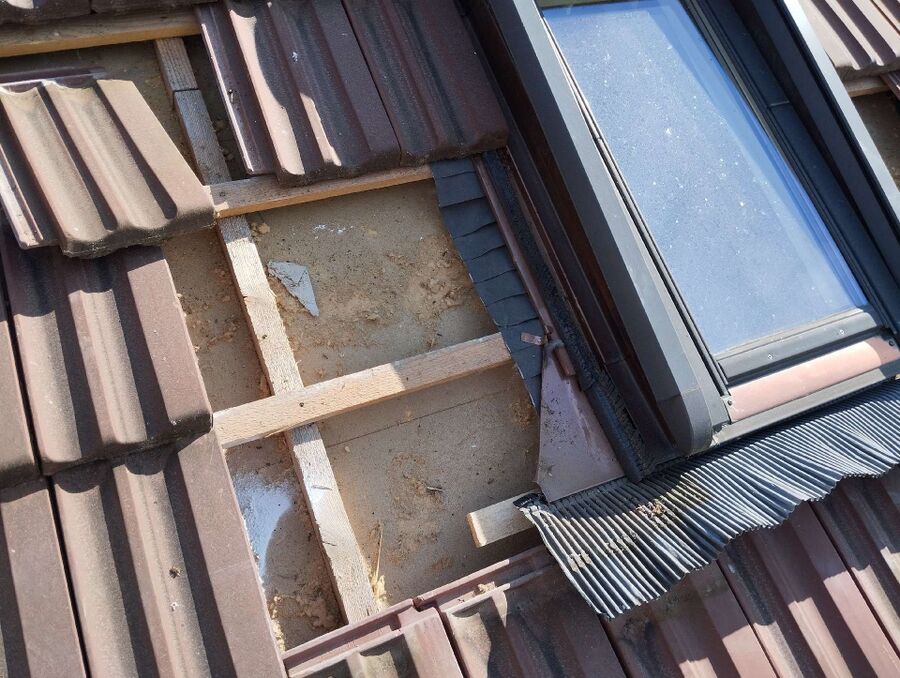 Bee nest at the house remove