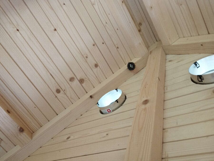 Bee nest at the house remove