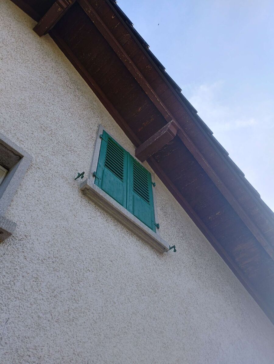 Bee nest at the house remove