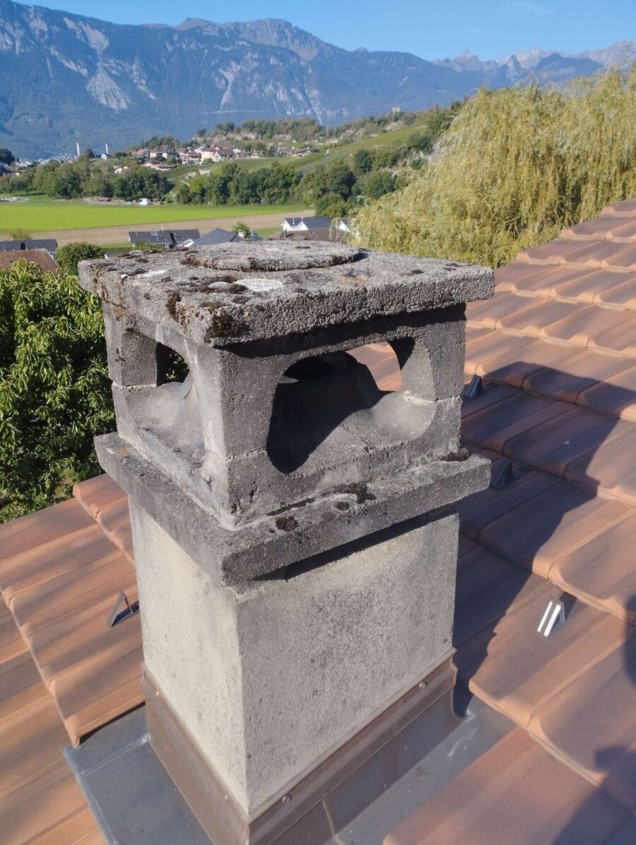 Relocate bees & remove bee nest