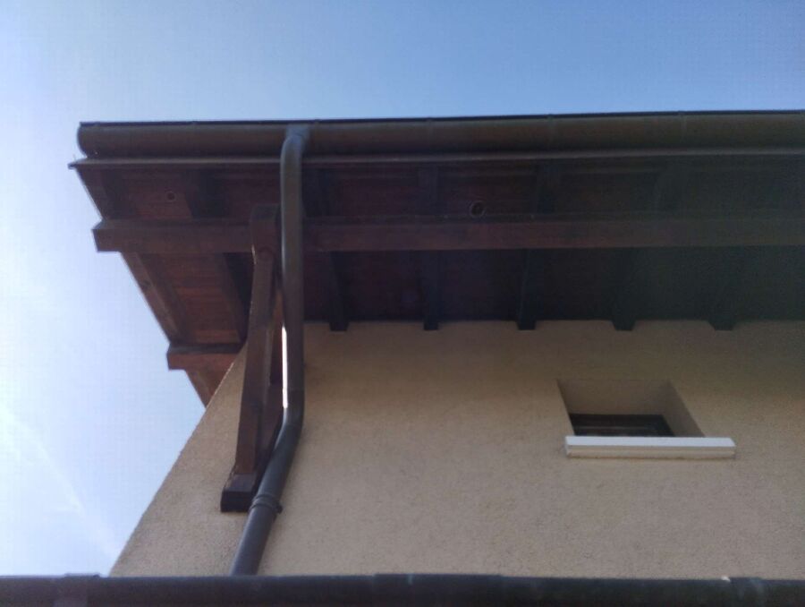 Bee nest at the house remove