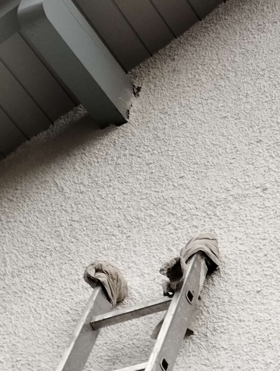 Bee nest at the house remove