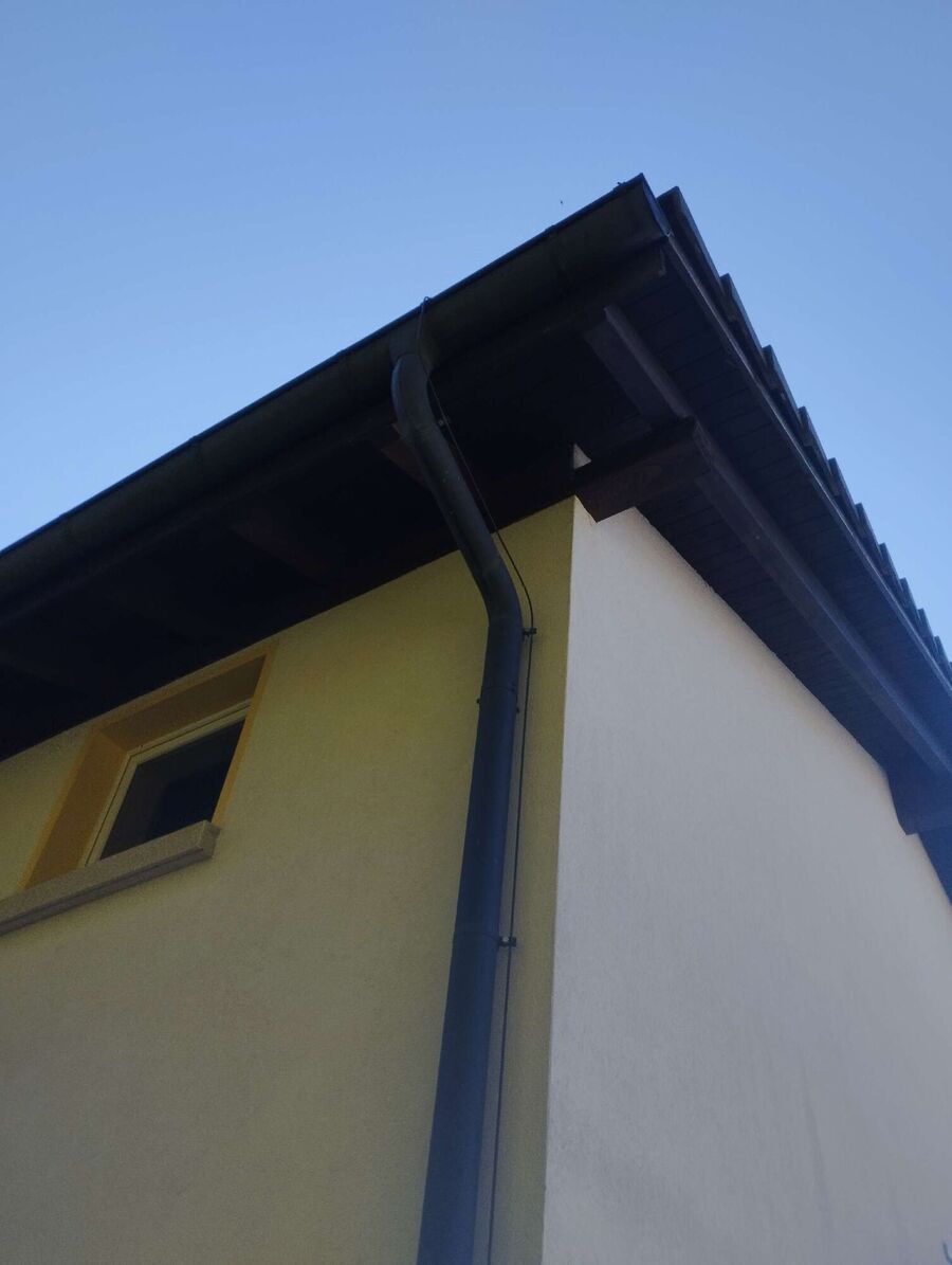 Relocate bees & remove bee nest