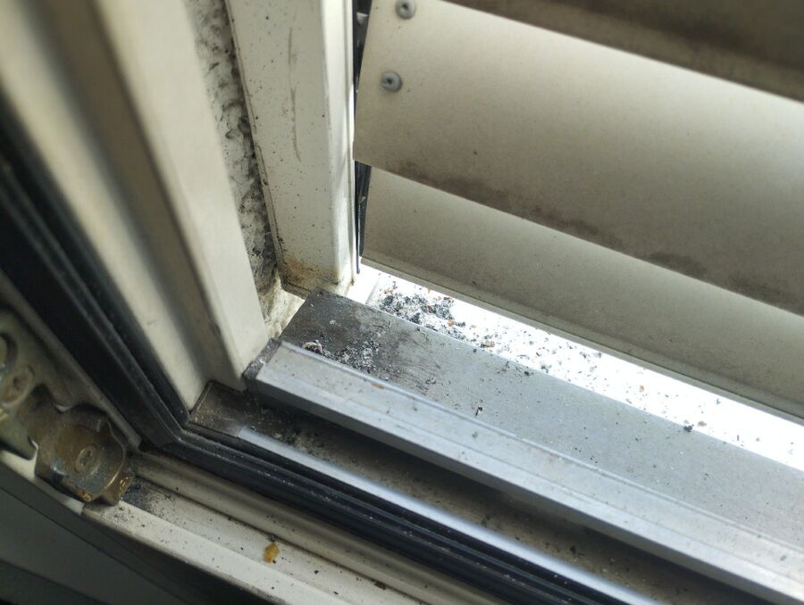 Bee nest at the house remove