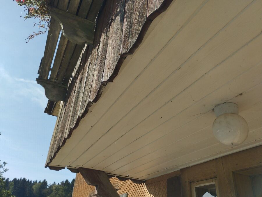 Bee nest at the house remove