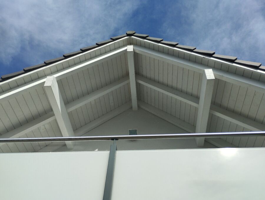 Relocate bees & remove bee nest