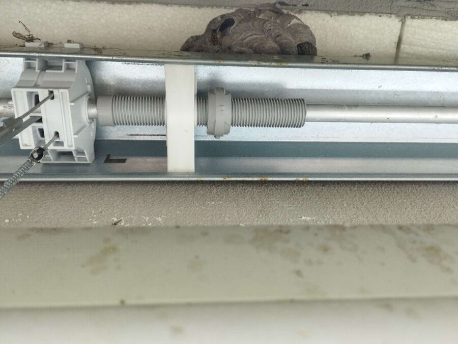 Relocate bees & remove bee nest