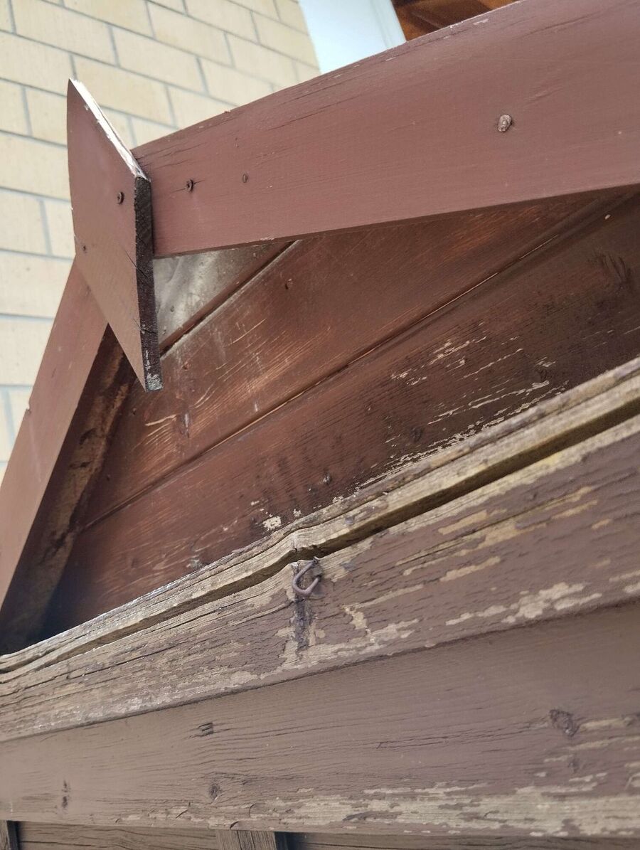 Relocate bees & remove bee nest