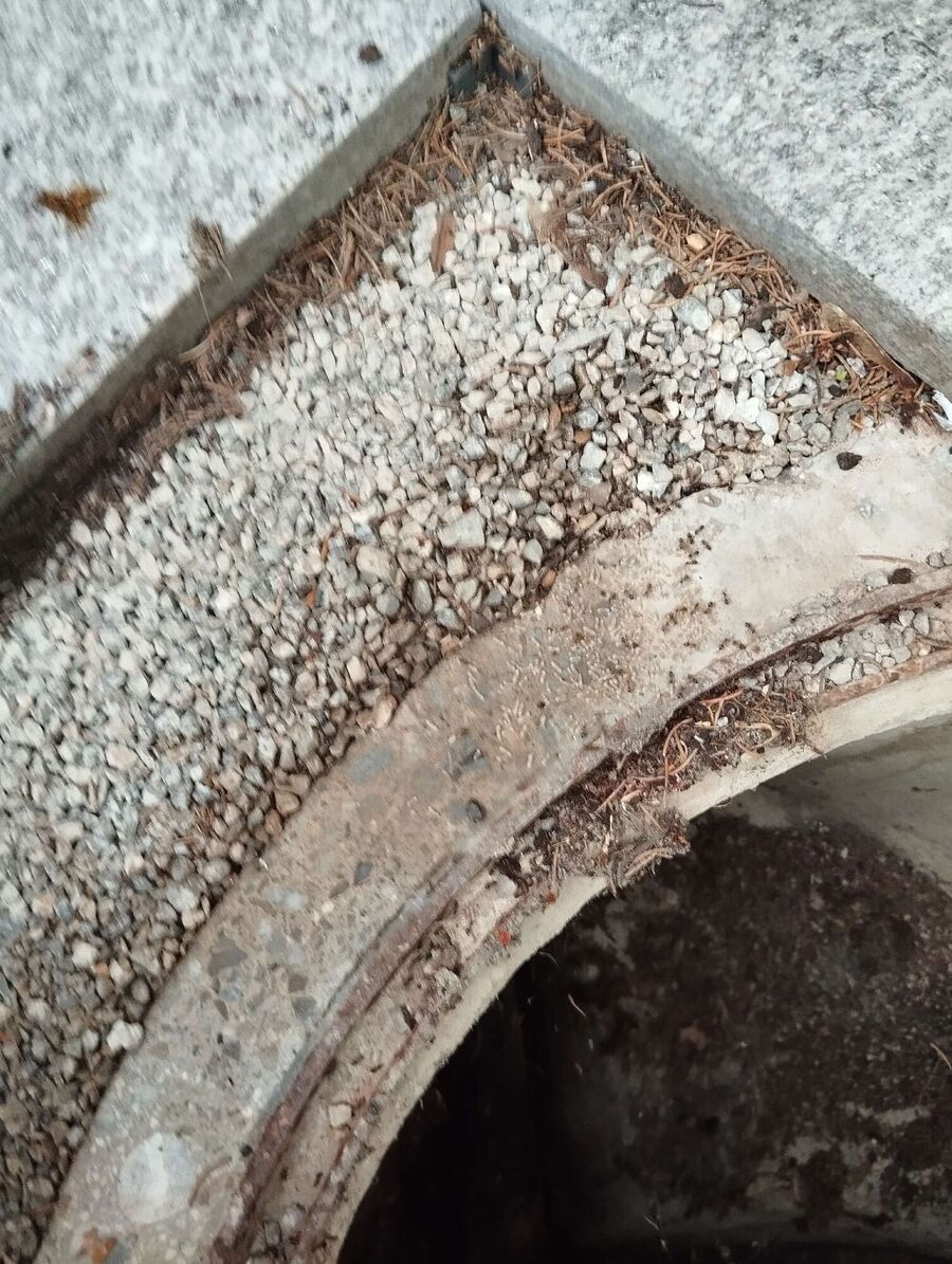 Bee nest at the house remove