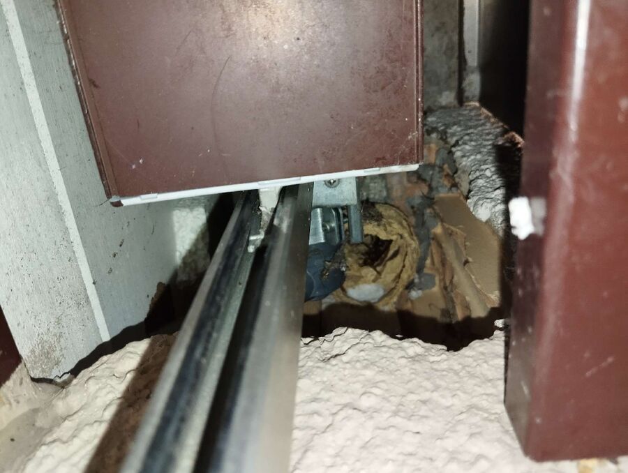 Bee nest at the house remove