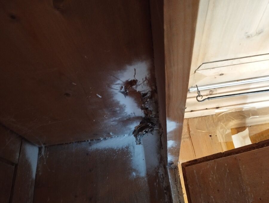 Bee nest at the house remove