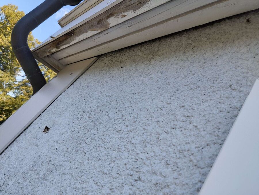 Bee nest at the house remove