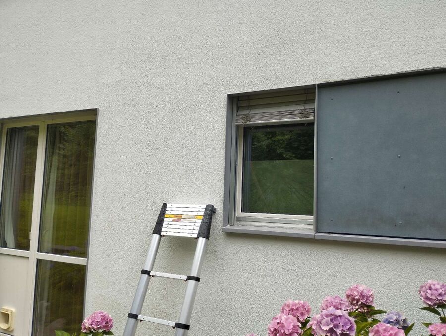 Bee nest at the house remove