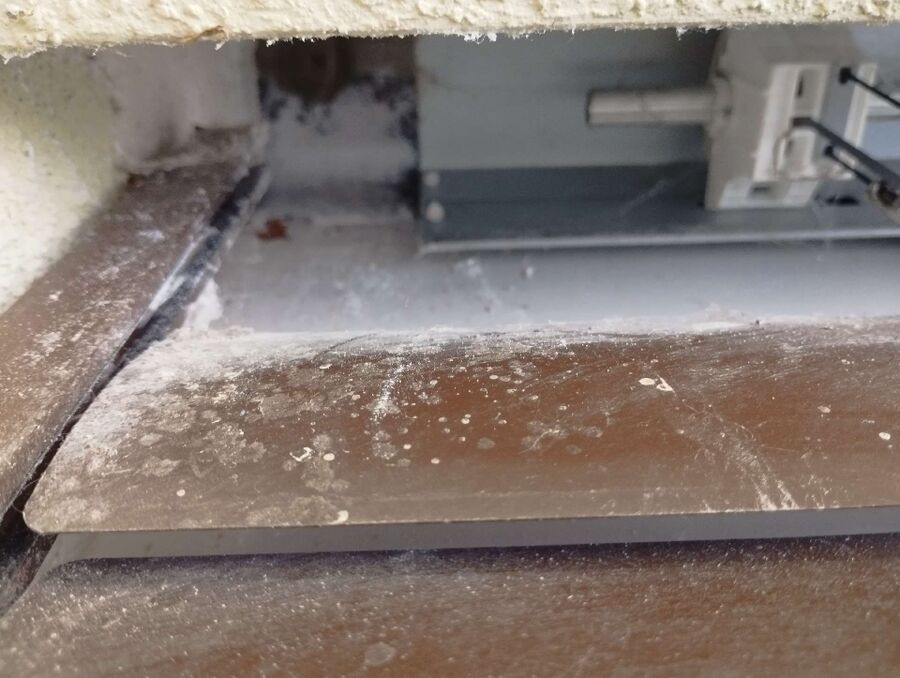 Relocate bees & remove bee nest