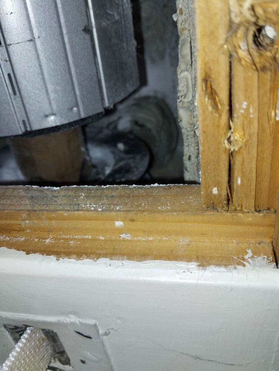 Relocate bees & remove bee nest