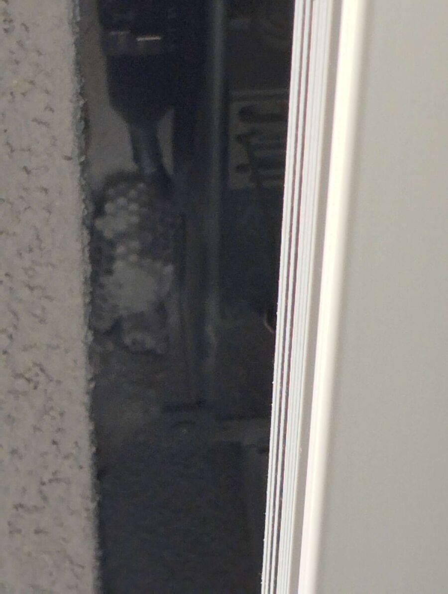 Bee nest at the house remove