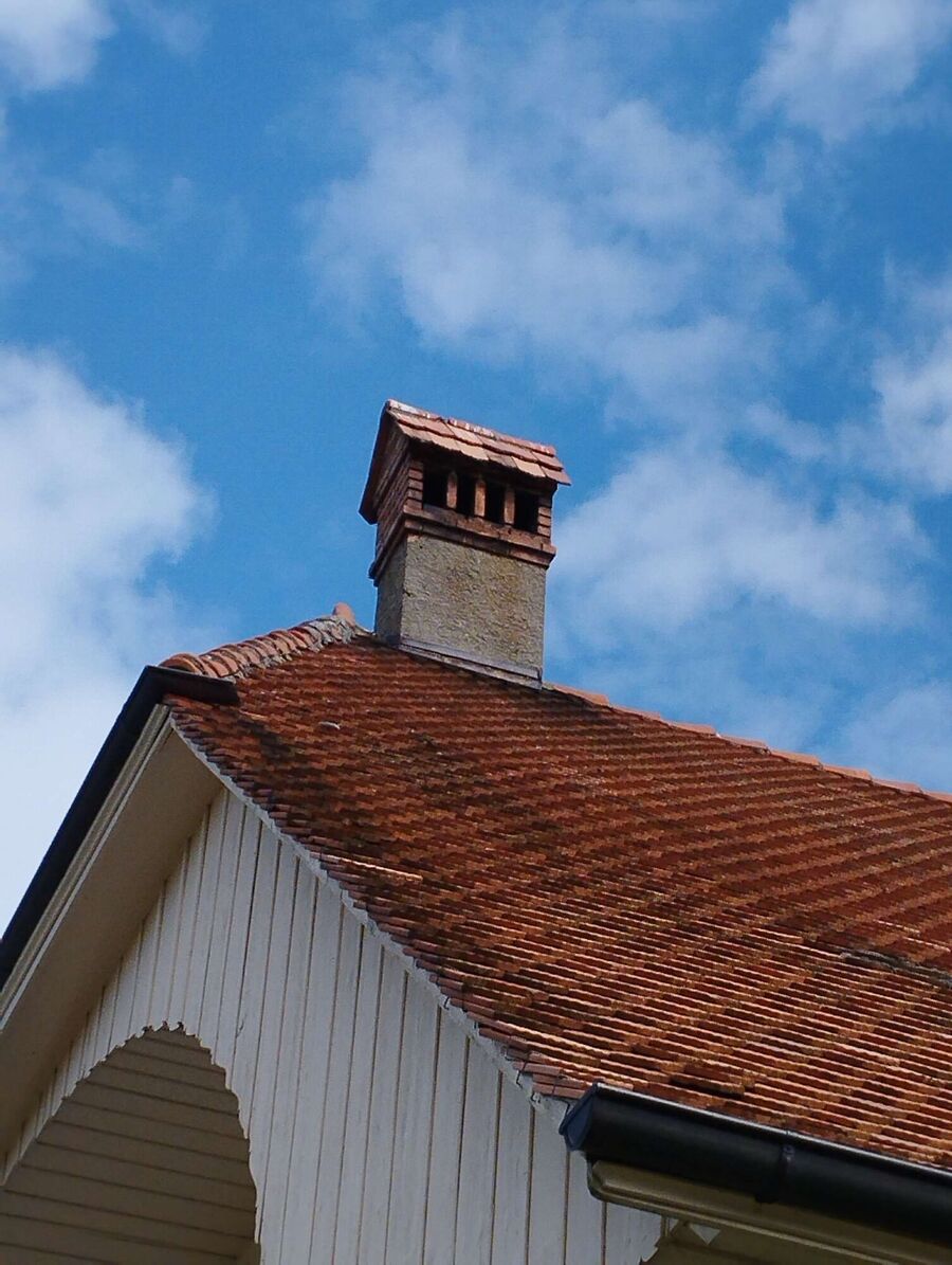 Bee nest at the house remove