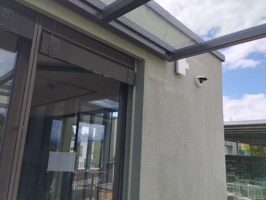 Relocate bees & remove bee nest