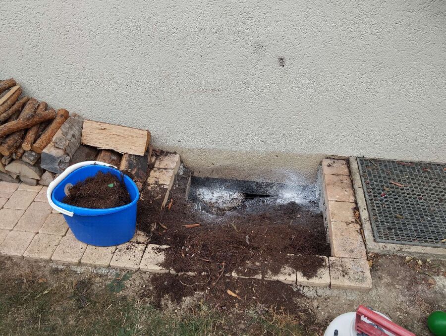 Bee nest at the house remove