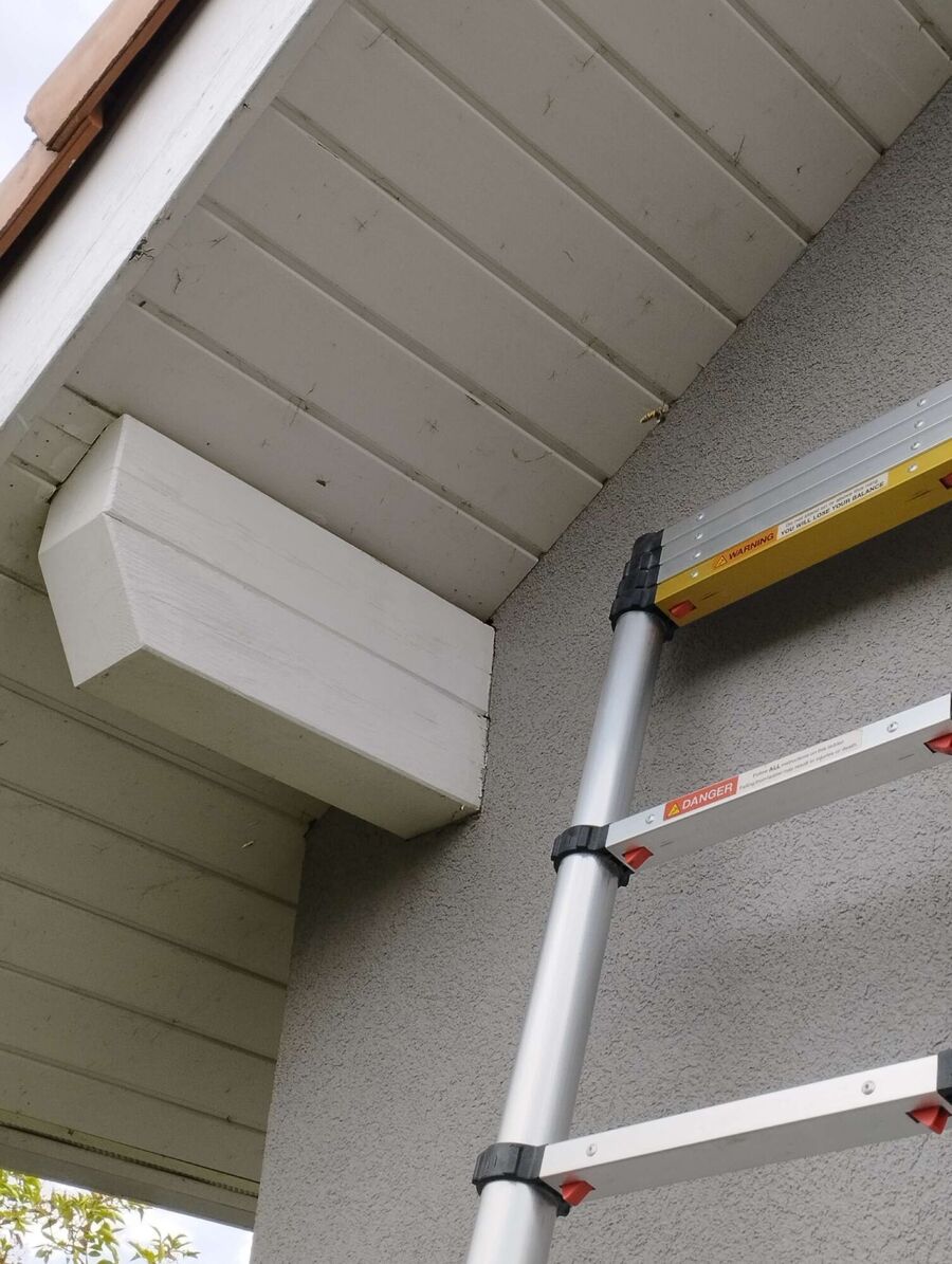 Bee nest at the house remove