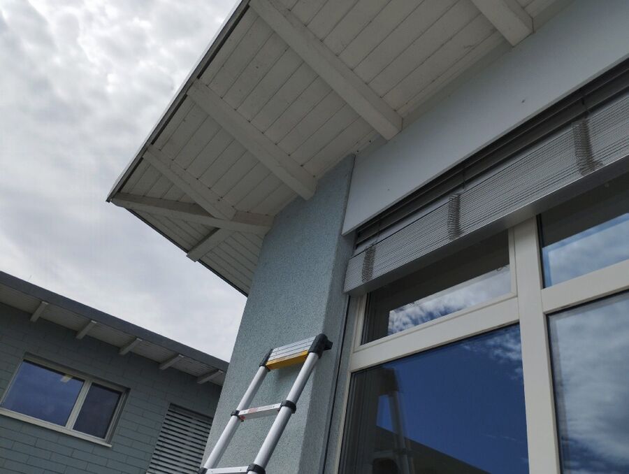 Bee nest at the house remove