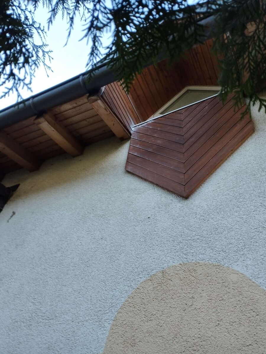 Relocate bees & remove bee nest