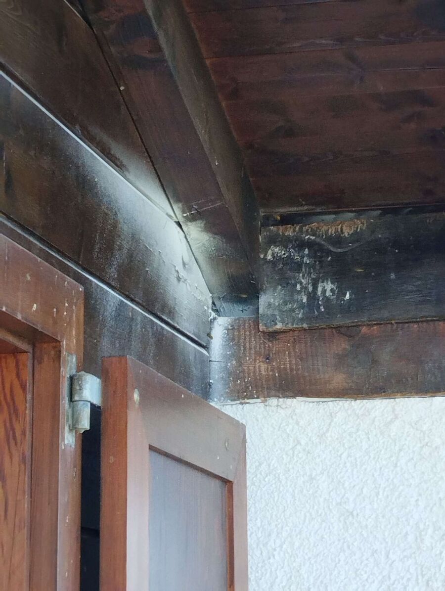 Bee nest at the house remove