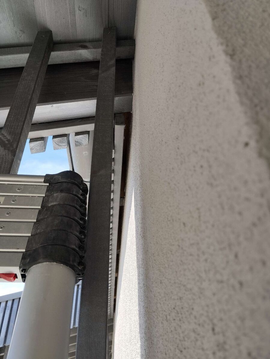 Bee nest at the house remove