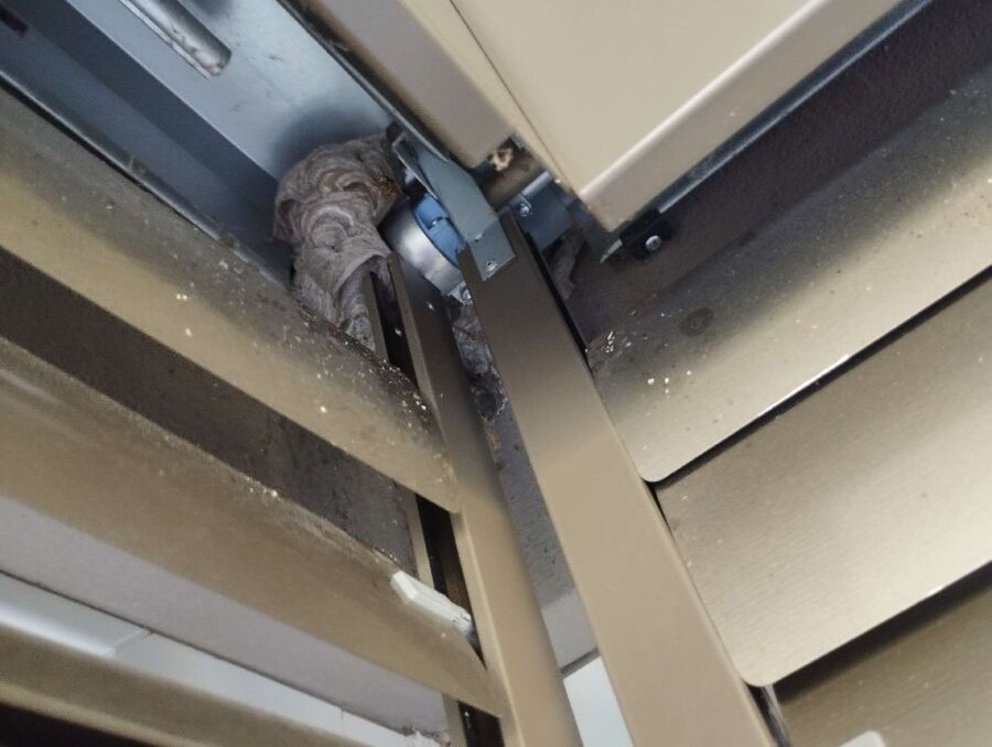 Bee nest at the house remove