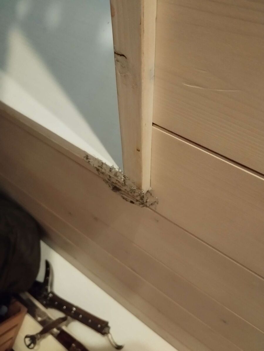 Bee nest at the house remove