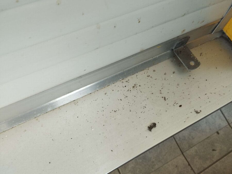 Bee nest at the house remove