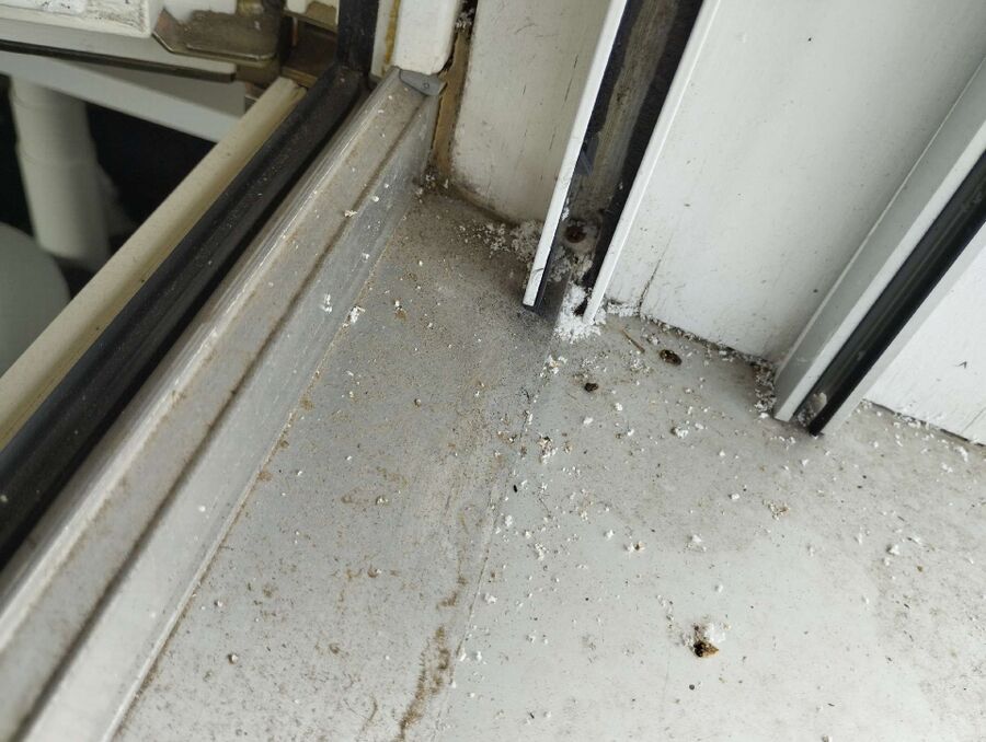 Bee nest at the house remove