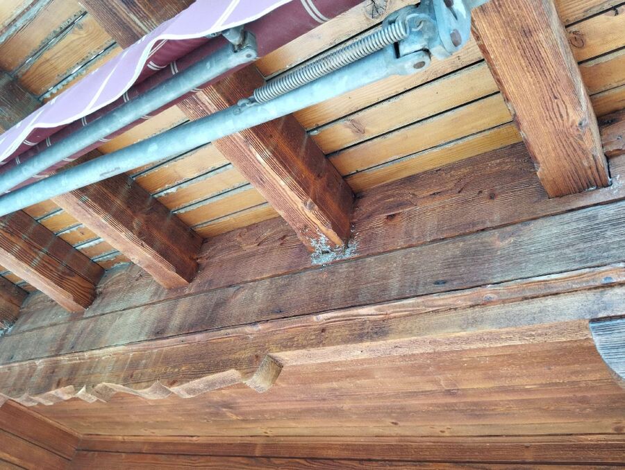 Bee nest at the house remove