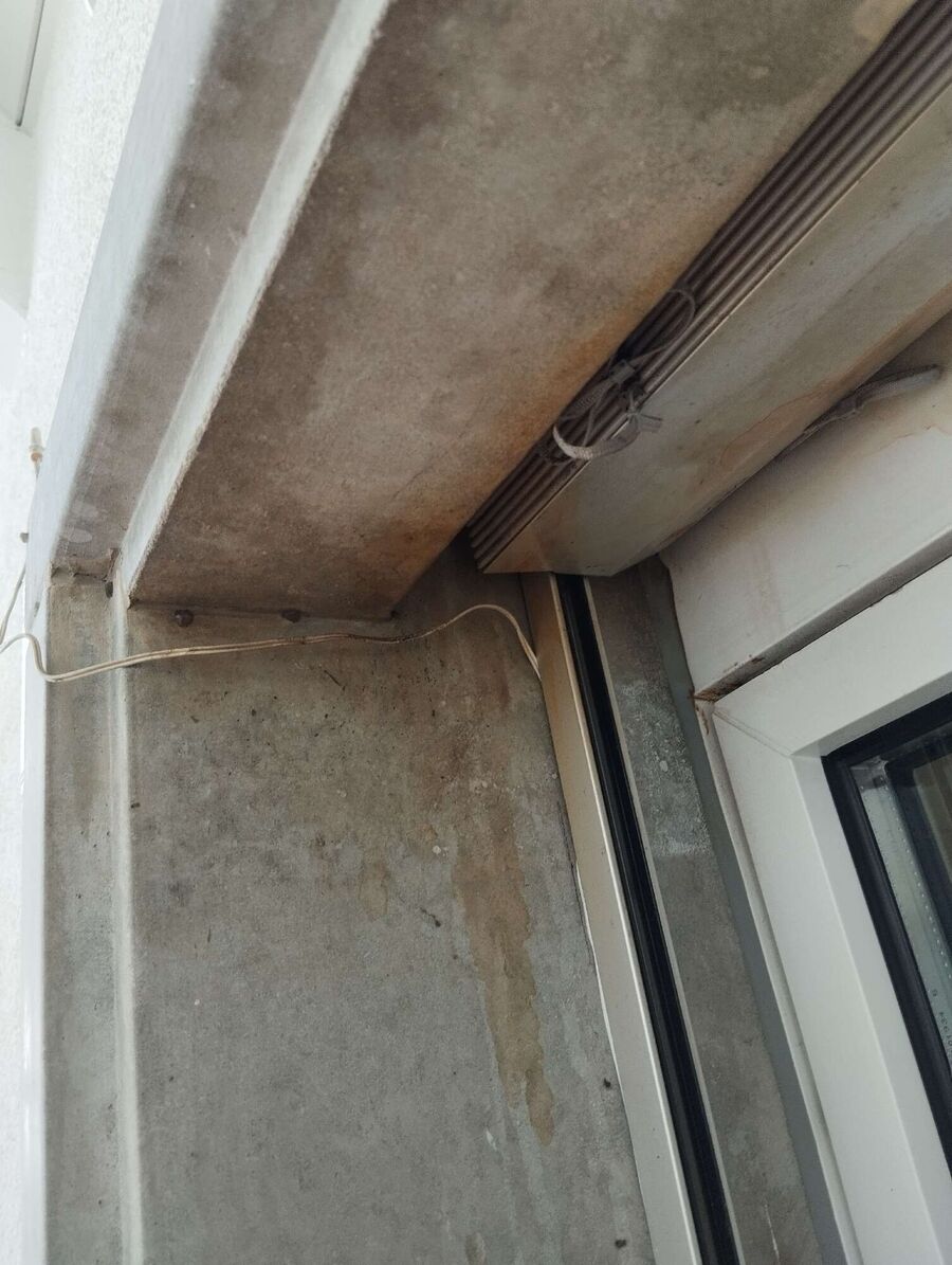 Relocate bees & remove bee nest