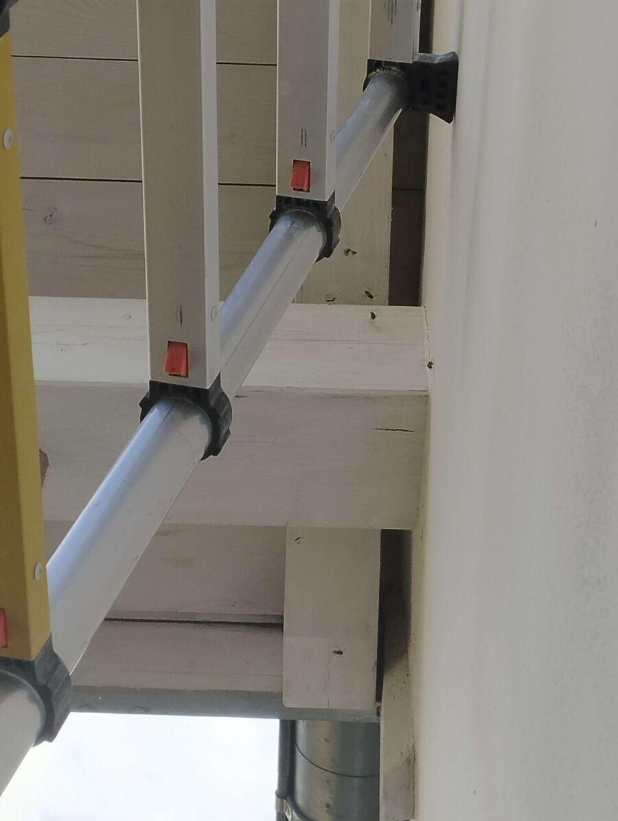 Bee nest at the house remove