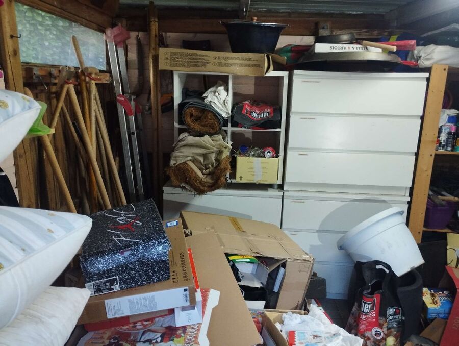 Relocate bees & remove bee nest