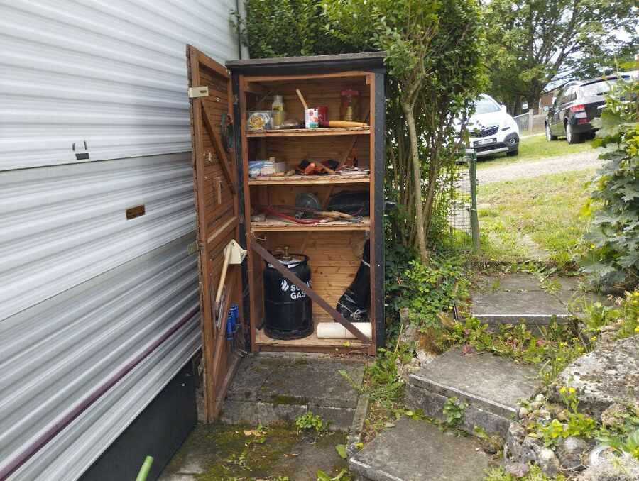 Relocate bees & remove bee nest