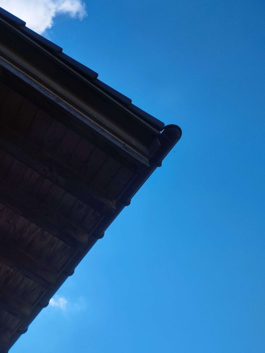 Bee nest at the house remove