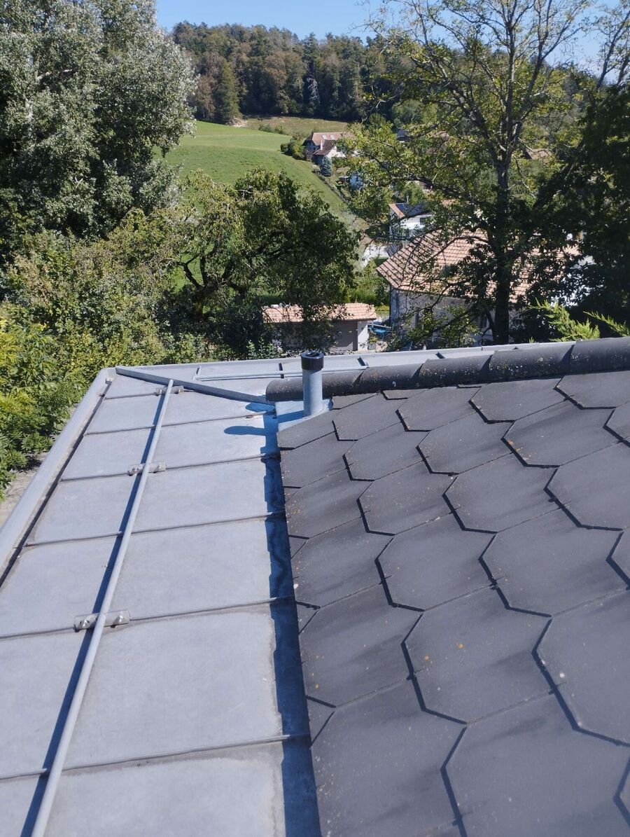 Relocate bees & remove bee nest