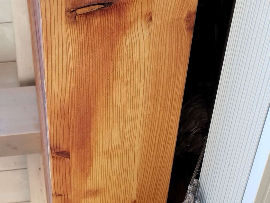 Bee nest at the house remove